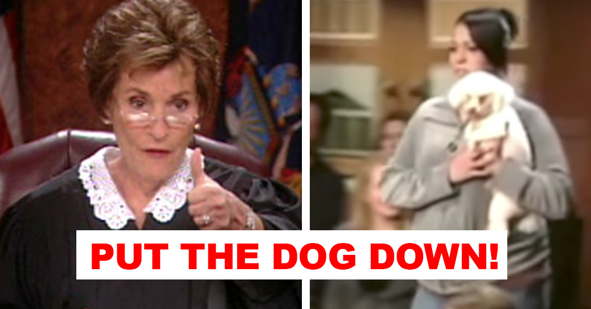 Judge Judy Let A Dog Loose In Her Courtroom To Choose His Real Owner