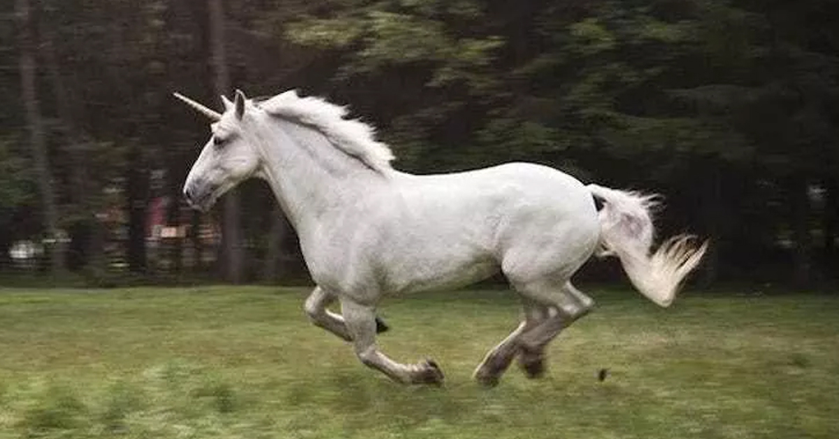 Real Unicorns Did Exist But Looked Absolutely Terrifying