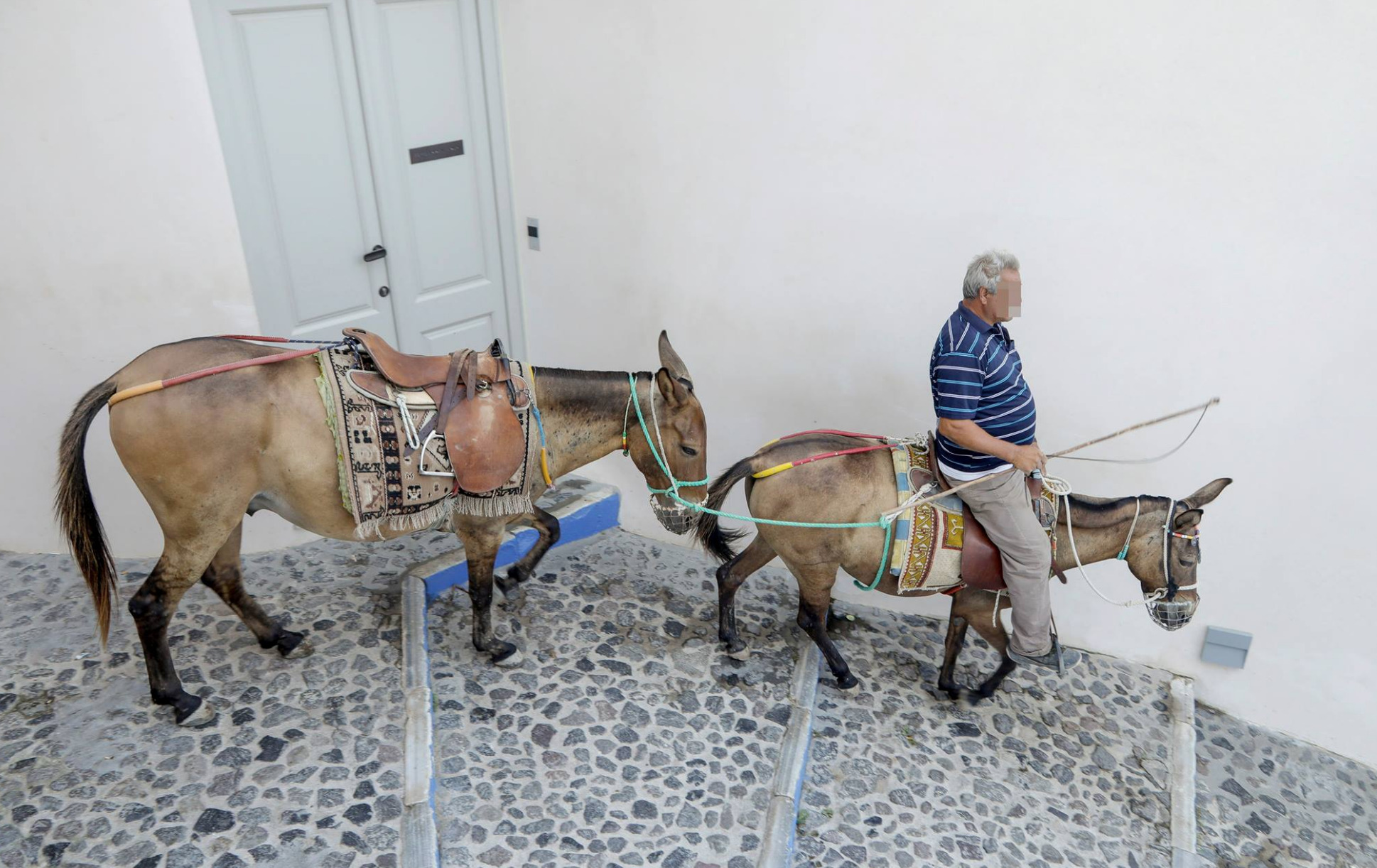 Greek Island Bans All 'Fat Tourists' From Riding Donkeys