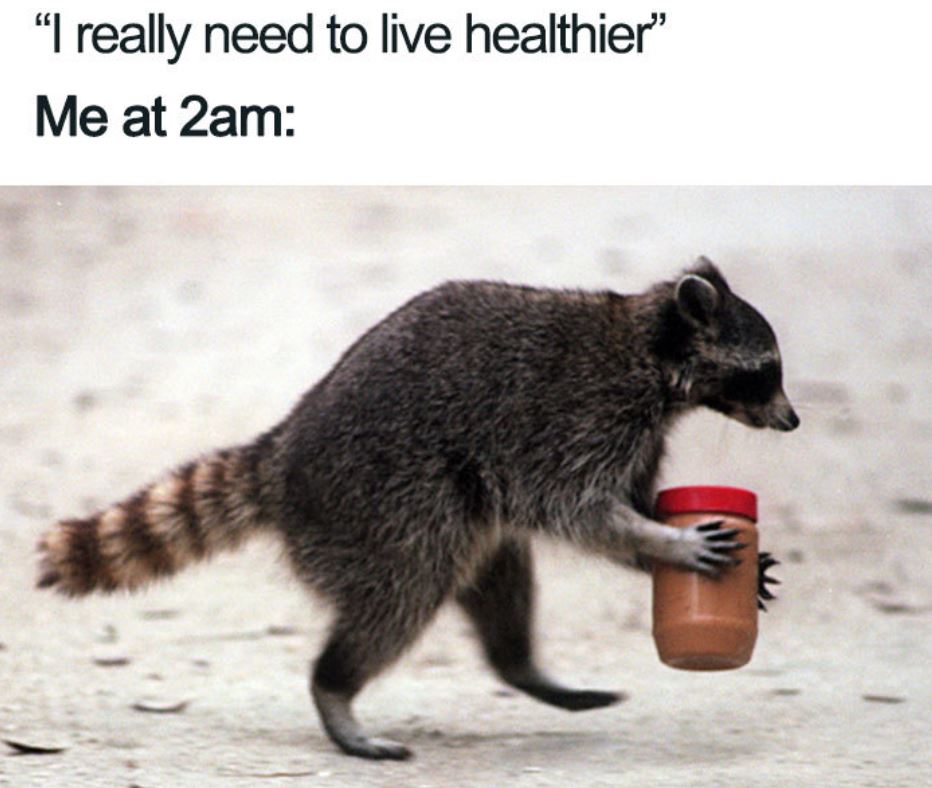 30 Diet Memes So Hilarious You ll Have Abs From Laughing 